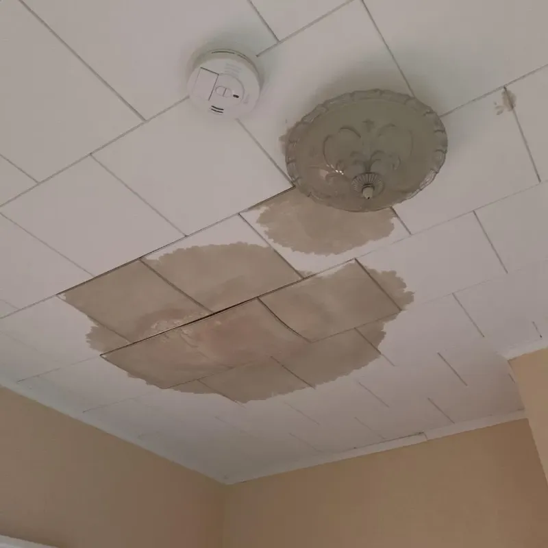 Ceiling Water Damage Repair in Minor, AL