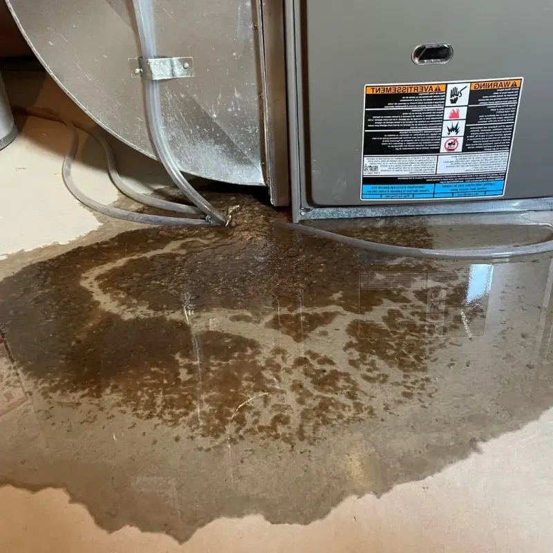Pipe Burst and Leak Restoration in Minor, AL