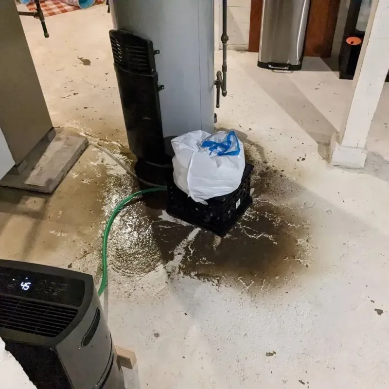 Sewage Backup Cleanup Service in Minor, AL